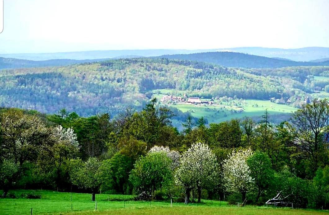 Geishoehe Landgasthof Rose Dammbach Екстериор снимка