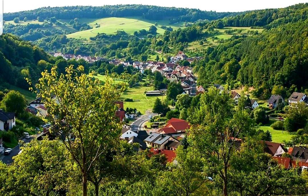 Geishoehe Landgasthof Rose Dammbach Екстериор снимка